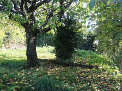 Annonce Vente 2 pices Maison Autun 71