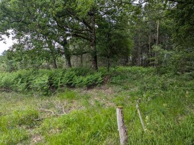 For sale Cercoux Charente maritime (17270) photo 2