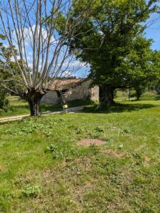 For sale Cercoux Charente maritime (17270) photo 3