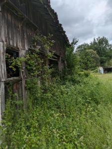 For sale Cercoux Charente maritime (17270) photo 4