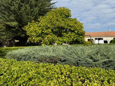 Annonce Vente 10 pices Maison Saint-georges-d'oleron 17