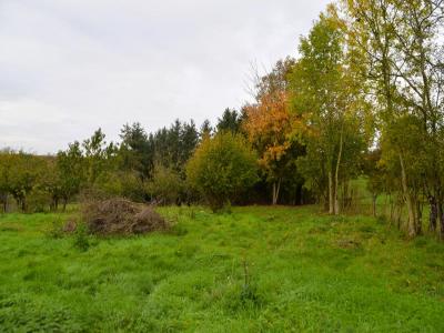 Acheter Terrain 1778 m2 Cheppy