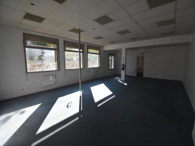 Annonce Vente Local industriel Isle-d'espagnac 16