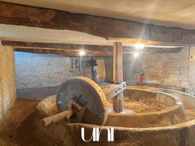 For sale Villers-canivet 10 rooms 341 m2 Calvados (14420) photo 4