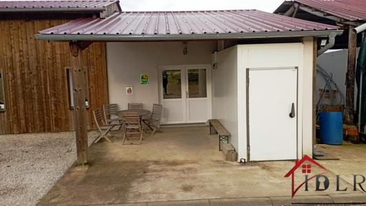 Annonce Vente Commerce Vouxey 88