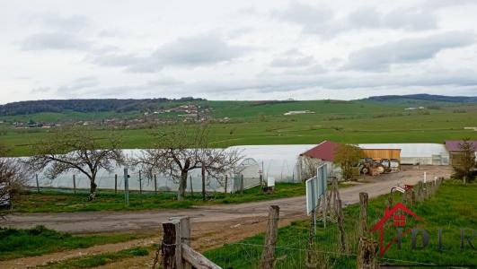 Acheter Commerce Vouxey Vosges