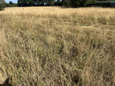 For sale Loire atlantique (44690) photo 0