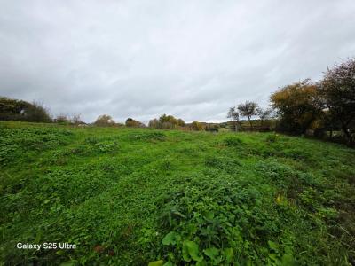 For sale Fontenelle-montby 6040 m2 Doubs (25340) photo 3