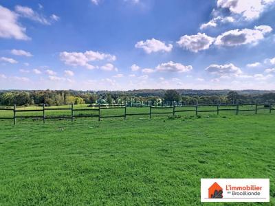 Annonce Vente Prestige Bovel 35