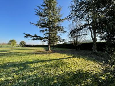 Annonce Vente Terrain Saint-jean-de-rives 81