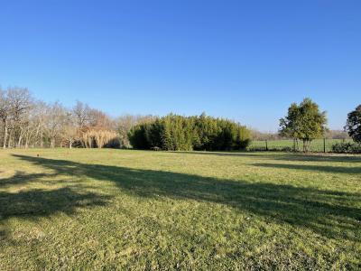 Acheter Terrain Saint-jean-de-rives Tarn