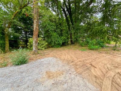 Annonce Vente Terrain Saint-paul-les-dax 40