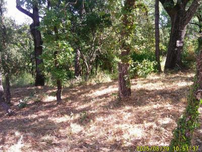 For sale Mayons 1200 m2 Var (83340) photo 0