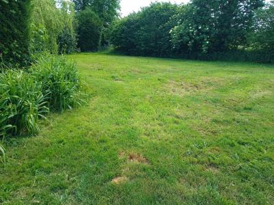 For sale Cauville TERRES-DE-DRUANCE 5 rooms 150 m2 Calvados (14770) photo 1