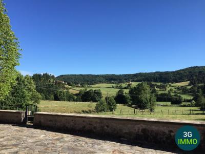 Acheter Maison 206 m2 Craponne-sur-arzon