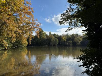 Acheter Programme neuf Strasbourg 189000 euros