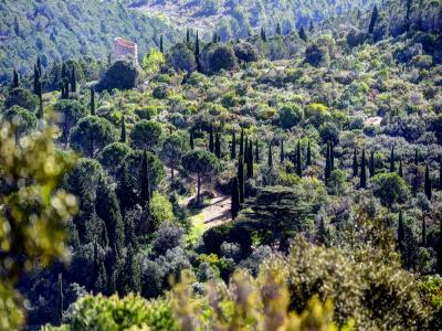 For sale Ferrals-les-corbieres 4 rooms 80 m2 Aude (11200) photo 4