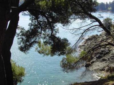 For sale Pleurtuit 350 m2 Ille et vilaine (35730) photo 0