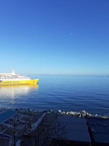 For rent Bastia 1 room 30 m2 Corse (20200) photo 0