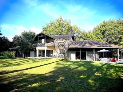 Annonce Vente 8 pices Maison Capbreton 40