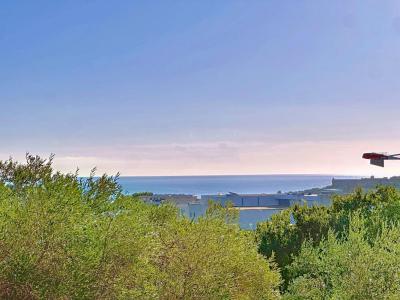 Acheter Appartement Antibes Alpes Maritimes