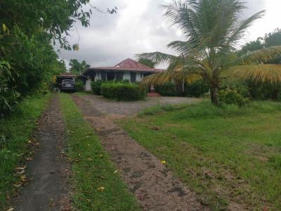 For sale Goyave 4 rooms 121 m2 Guadeloupe (97128) photo 3