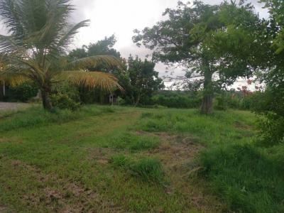 For sale Goyave 4 rooms 121 m2 Guadeloupe (97128) photo 4