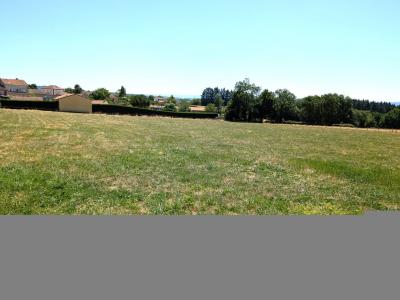 Acheter Terrain  Loire