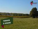 For sale Land Pellegrue  1106 m2