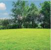 For sale Land Villefranche-de-lauragais  32767 m2