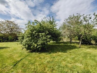 Annonce Vente 3 pices Maison Illiers-combray 28