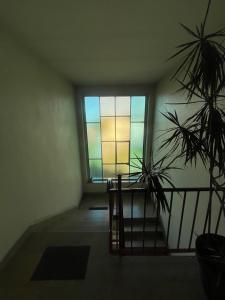 For sale Pfastatt 2 rooms 46 m2 Haut rhin (68120) photo 3