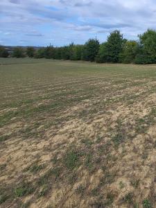 For sale Caraman 634 m2 Haute garonne (31460) photo 0