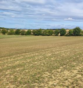 Annonce Vente Terrain Caraman 31