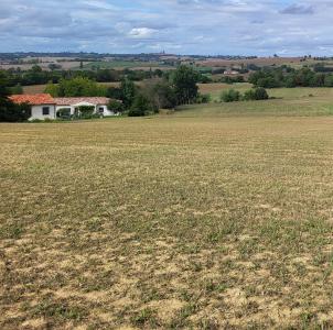 Acheter Terrain 592 m2 Albiac