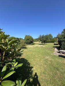 For sale Liepvre LIAPVRE 5 rooms 100 m2 Haut rhin (68660) photo 2