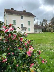 For sale Hagetmau 10 rooms 285 m2 Landes (40700) photo 1