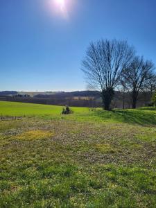 Acheter Terrain Escalquens 174000 euros