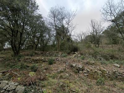 Acheter Terrain Saint-martin-de-valgalgues Gard