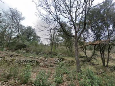 Acheter Terrain Saint-martin-de-valgalgues 137160 euros