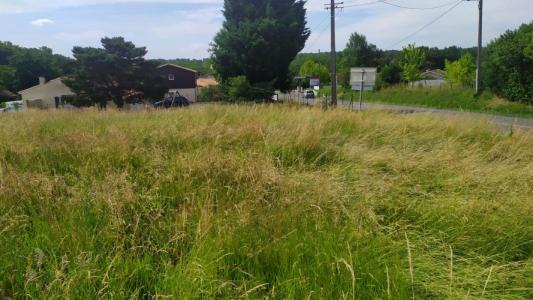 Annonce Vente 4 pices Maison Baigneaux 33