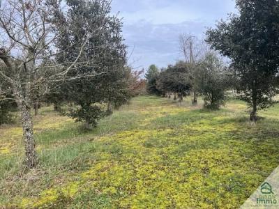 For sale Aussac-vadalle 9656 m2 Charente (16560) photo 0