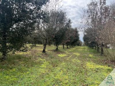 For sale Aussac-vadalle 9656 m2 Charente (16560) photo 2