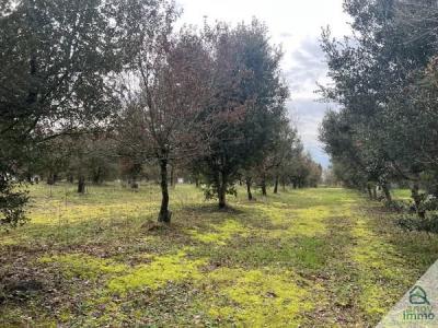 For sale Aussac-vadalle 9656 m2 Charente (16560) photo 3