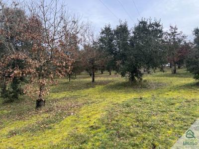 For sale Aussac-vadalle 9656 m2 Charente (16560) photo 4