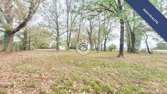 For sale Barcelonne-du-gers 6 rooms 140 m2 Gers (32720) photo 3