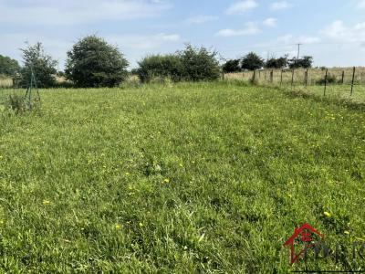 Acheter Maison 45 m2 Damremont