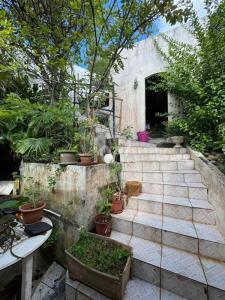 Annonce Vente 3 pices Maison Fort-de-france 972