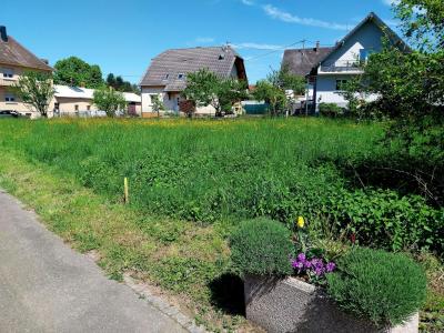 For sale Bas rhin (67170) photo 2