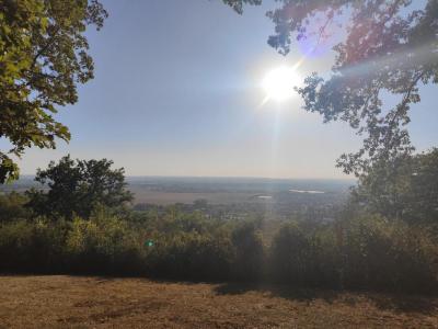 Annonce Vente Terrain Grisolles 82